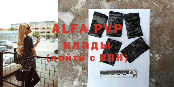 эйфоретик Бородино