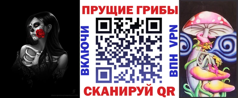 Галлюциногенные грибы MAGIC MUSHROOMS  блэк спрут как зайти  Калач-на-Дону 